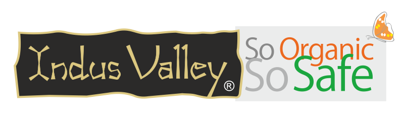 indusvalley