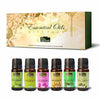 Essential Oils Gift Pack - Pack of 6 (10ml each), Indus Valley